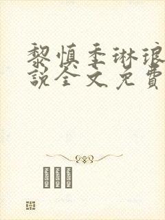 黎慎季琳琅的小说全文免费阅读封面