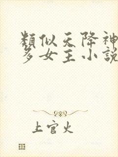 类似天降神妻的多女主小说封面