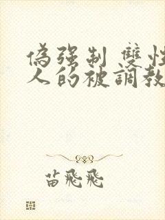 伪强制 双性美人的被调教游戏封面