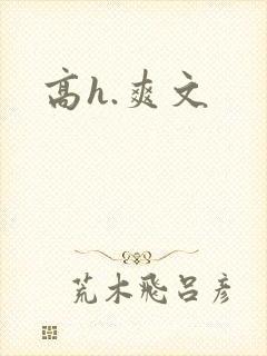 高h.爽文封面