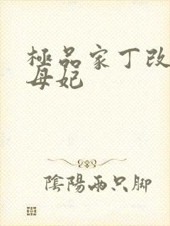 极品家丁改编之母妃封面
