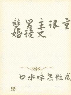 双男主很重欲的婚后文封面