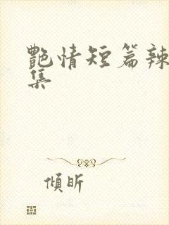 艳情短篇辣文合集封面