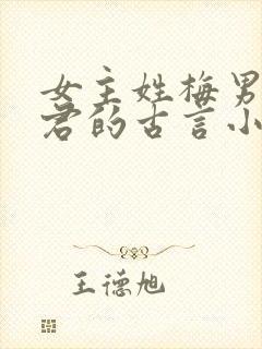 女主姓梅男主姓君的古言小说