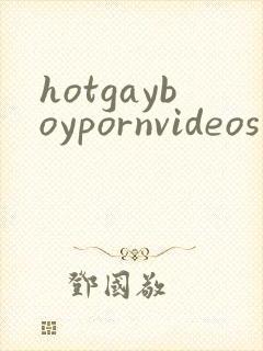 hotgayboypornvideos