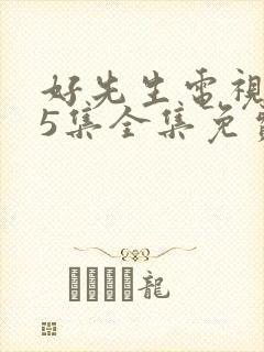 好先生电视剧45集全集免费观看封面