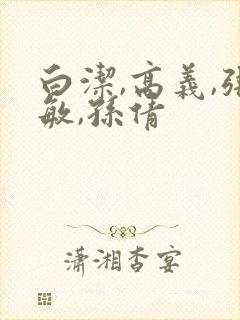 白洁,高义,张敏,孙倩