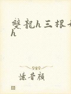 双龙h三根好撑h