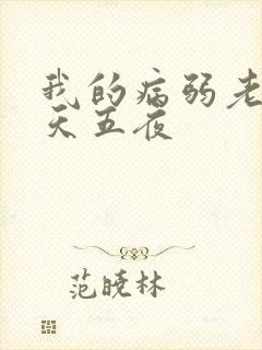 我的病弱老婆五天五夜封面