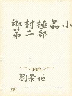 乡村极品小神医第二部