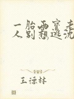 一胎两宝老婆大人别想逃沈蔓歌封面