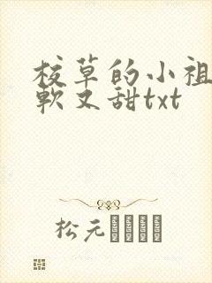 校草的小祖宗又软又甜txt