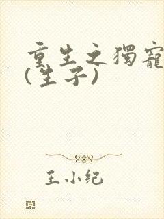 重生之独宠男妻(生子)