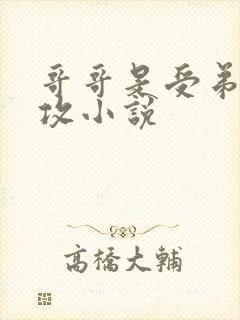 哥哥是受弟弟是攻小说