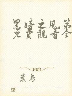 黑暗之风第一季免费观看全集高清