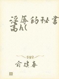 淫辱的秘书调教高h(