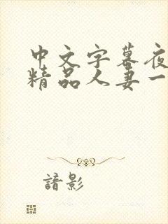 中文字幕夜夜嗨精品人妻一区二区封面