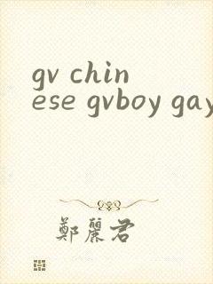 gv chinese gvboy gay tube