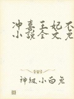 冲喜王妃不好惹小说全文免费阅读