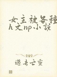 女主被各种调教h文np小说封面