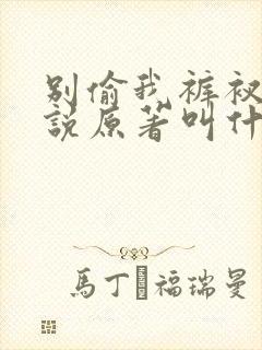 别偷我裤衩子小说原著叫什么名字