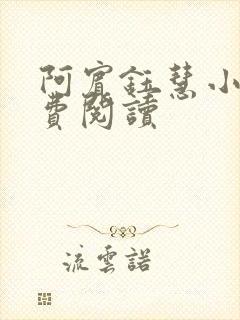 阿宾钰慧小说免费阅读
