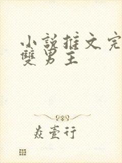 小说推文完结文双男主