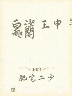 白洁 王申 笔趣阁封面