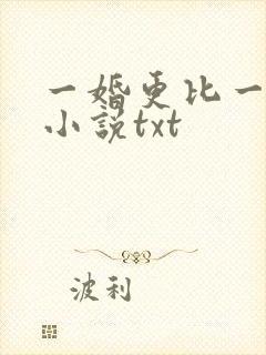 一婚更比一婚高小说txt
