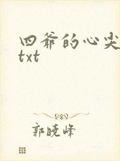 四爷的心尖宠妃txt封面