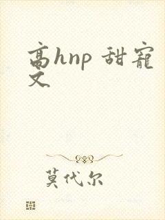 高hnp 甜宠文