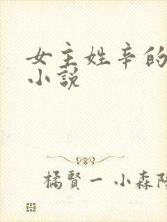 女主姓辛的现代小说