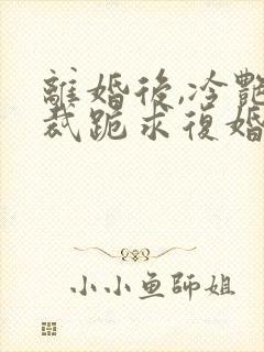 离婚后,冷艳总裁跪求复婚把