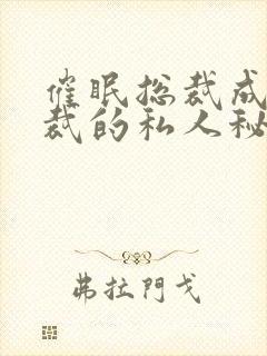催眠总裁成为总裁的私人秘书小说