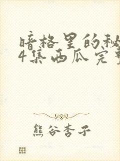 暗格里的秘密24集西瓜完整版免费