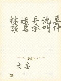 林远舟沈嘉禾小说名字叫什么