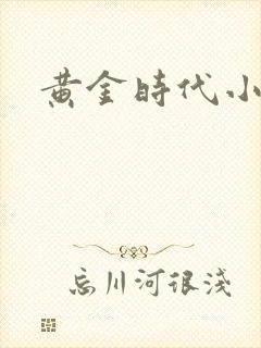 黄金时代小说