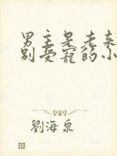 男主是老来子特别受宠的小说