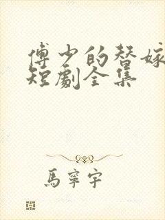 傅少的替嫁新娘短剧全集封面