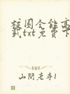 校园全能高手下载txt免费下载全集完结
