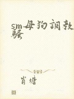sm母狗调教发骚