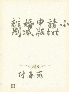 离婚申请小说无删减版txt