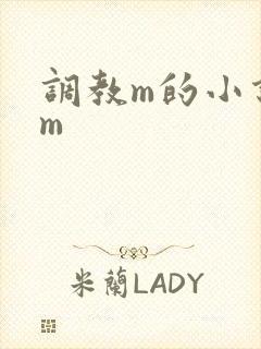 调教m的小说sm封面