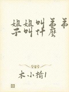 姐姐叫弟弟的儿子叫什么