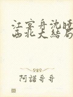 江宴舟沈晓岚大西北大结局