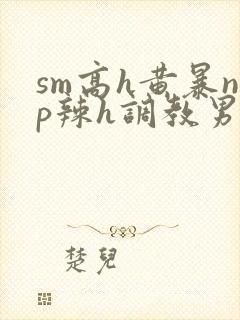 sm高h黄暴np辣h调教男奴