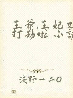 王爷,王妃又去打劫啦 小说
