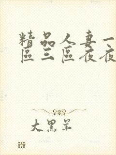 精品人妻一区二区三区夜夜嗨
