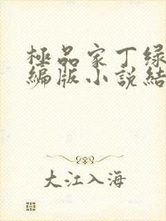 极品家丁绿帽改编版小说结局