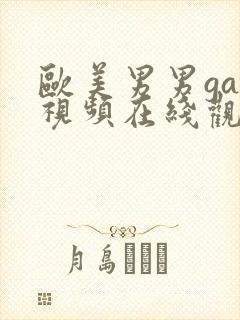 欧美男男gay视频在线观看